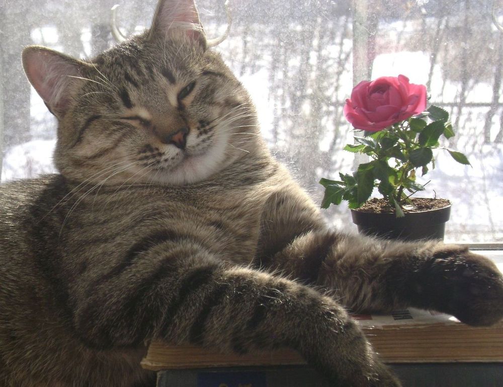 hidden home storage ideas