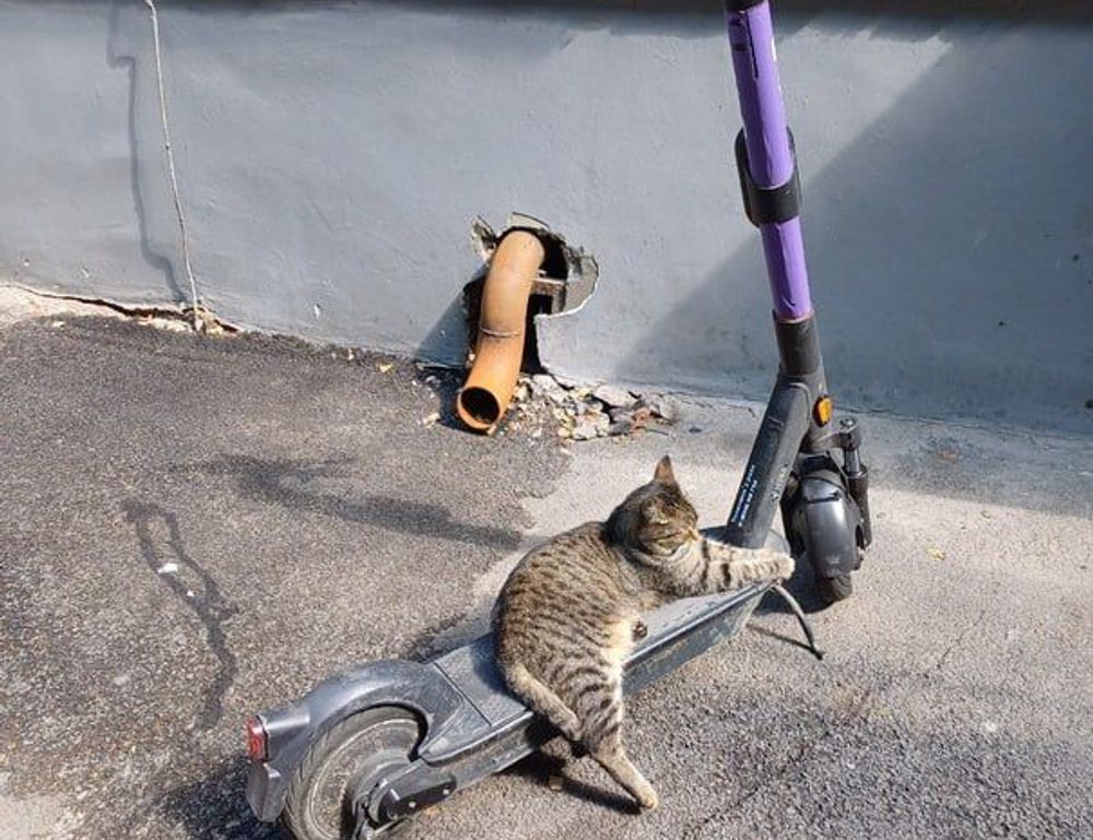 under bed storage solutions